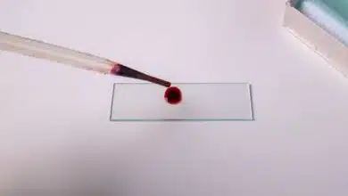 Une goutte de sang en laboratoire.