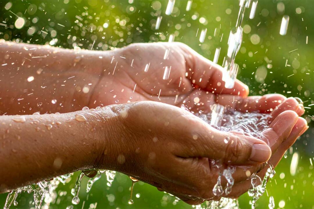 Des mains qui récupèrent de l'eau de pluie.