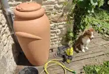 Quelle est réellement la réglementation à propos des récupérateurs d'eau de pluie ? Dois-je le déclarer ou non ?