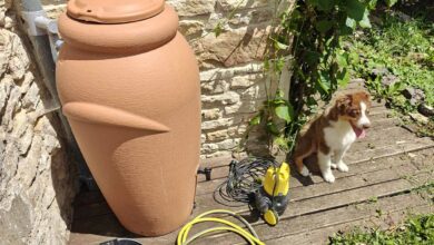 Quelle est réellement la réglementation à propos des récupérateurs d'eau de pluie ? Dois-je le déclarer ou non ?