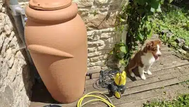 Quelle est réellement la réglementation à propos des récupérateurs d'eau de pluie ? Dois-je le déclarer ou non ?