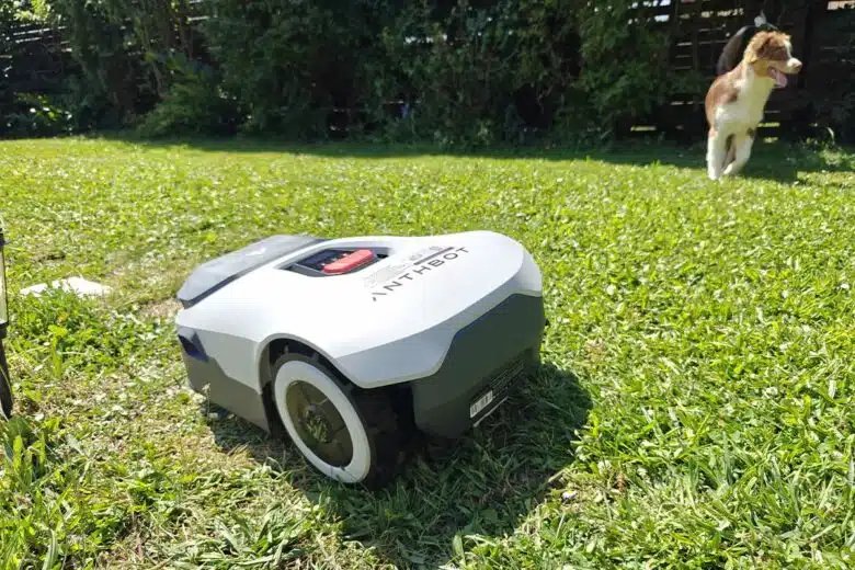 Un robot tondeuse en action.