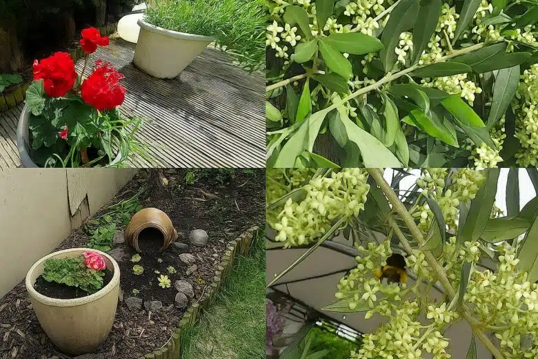 Captures en immersion dans le jardin grâce au caméscope d’oreille ORDRO EP8 en 4K mains libres.