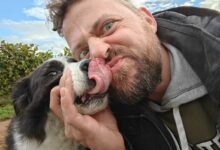 Votre chien est-il capable de ressentir si une personne est gentille ou non ? Crédit photo : Alexandre Bonazzi pour NeozOne