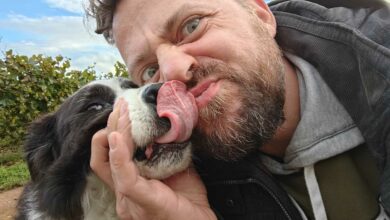 Votre chien est-il capable de ressentir si une personne est gentille ou non ? Crédit photo : Alexandre Bonazzi pour NeozOne