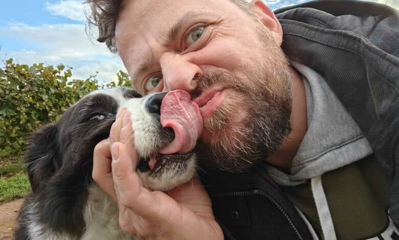 Votre chien est-il capable de ressentir si une personne est gentille ou non ? Crédit photo : Alexandre Bonazzi pour NeozOne