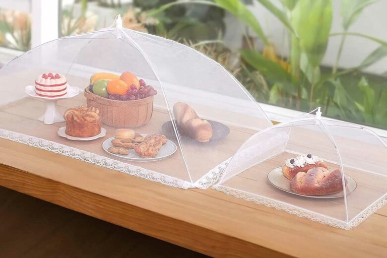 Vous souhaitez protéger vos aliments des mouches ? Optez pour une cloche alimentaire.