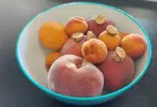 Savez-vous que quelques bouchons de liège dans votre corbeille à fruits peuvent faire fuir les moucherons ?
