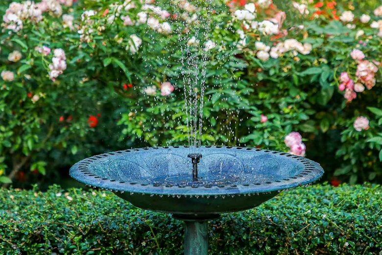 Une fontaine à eau.