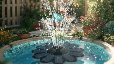 Un effet visuel dans un bassin avec une fontaine.