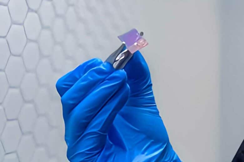 Des chercheurs de l'Université RMIT et du CSIRO, l'agence scientifique nationale australienne, ont dévoilé une méthode permettant de prolonger considérablement la durée de vie des batteries quantiques
