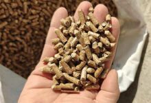 Profitez d'une offre sur les pellets à 4,29 € le sac chez Brico Dépot jusqu'au 17 juillet, pour refaire votre stock avant l'hiver.