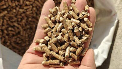 Profitez d'une offre sur les pellets à 4,29 € le sac chez Brico Dépot jusqu'au 17 juillet, pour refaire votre stock avant l'hiver.