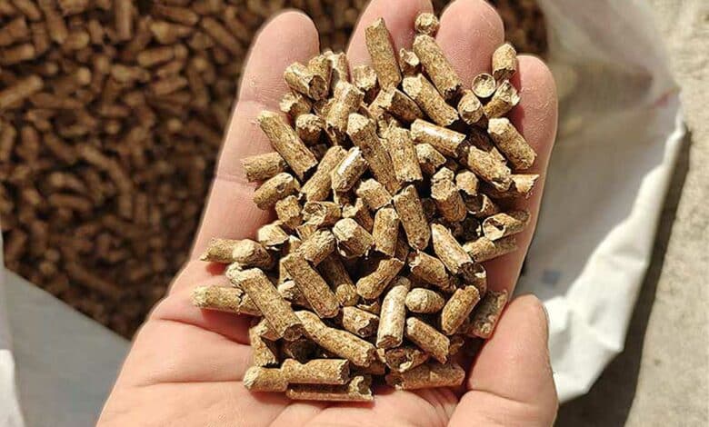 Profitez d'une offre sur les pellets à 4,29 € le sac chez Brico Dépot jusqu'au 17 juillet, pour refaire votre stock avant l'hiver.