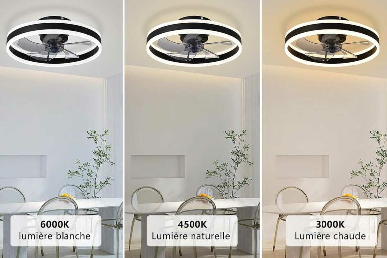 Un ventilateur de plafond avec éclairage.