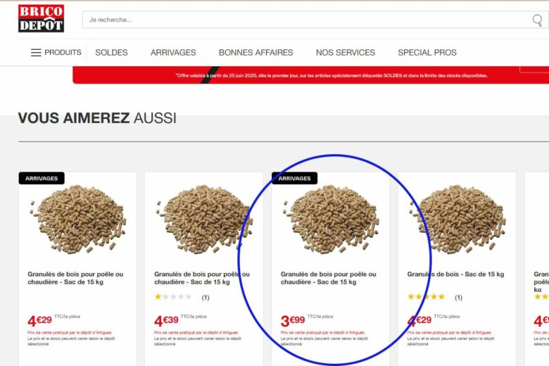 Capture d'écran du site Brico Dépôt réalisée le 8/07/2025 à 16h26.