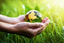 Et si votre compta vous aidait à sauver la planète avec Greenly ?