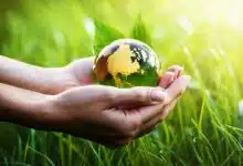 Et si votre compta vous aidait à sauver la planète avec Greenly ?