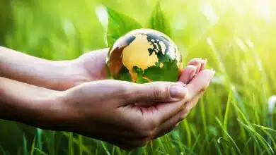 Et si votre compta vous aidait à sauver la planète avec Greenly ?