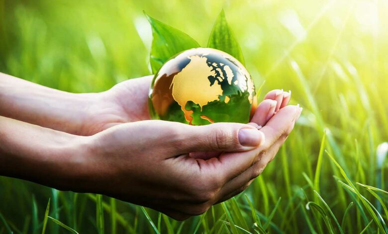 Et si votre compta vous aidait à sauver la planète avec Greenly ?