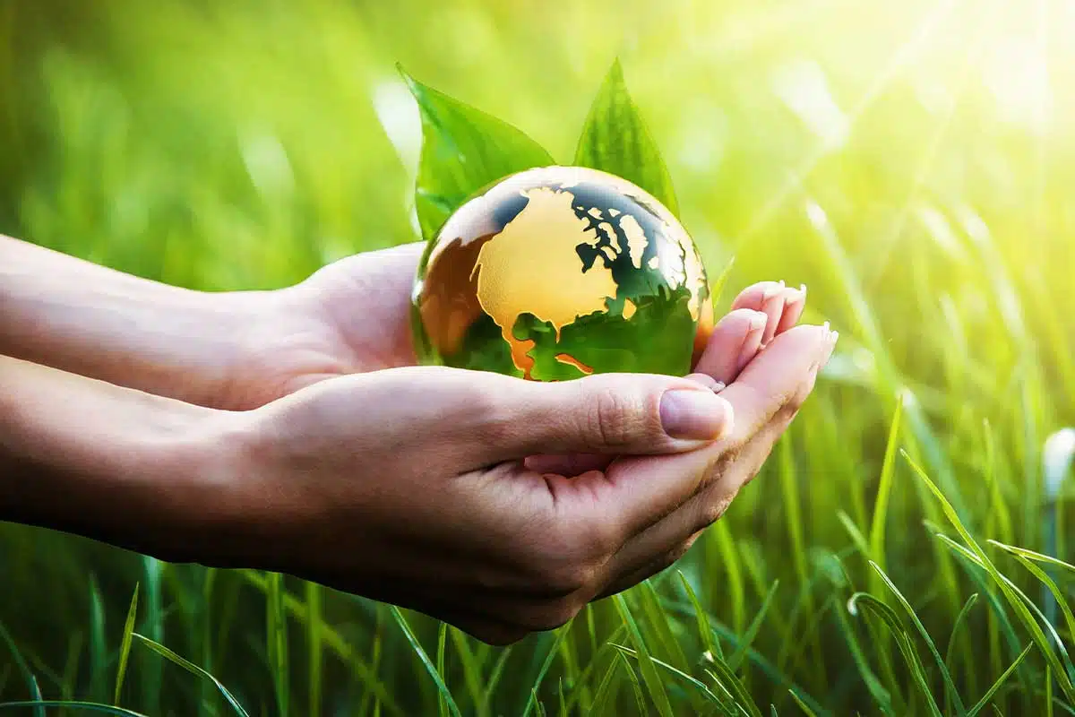 Et si votre compta vous aidait à sauver la planète avec Greenly ?