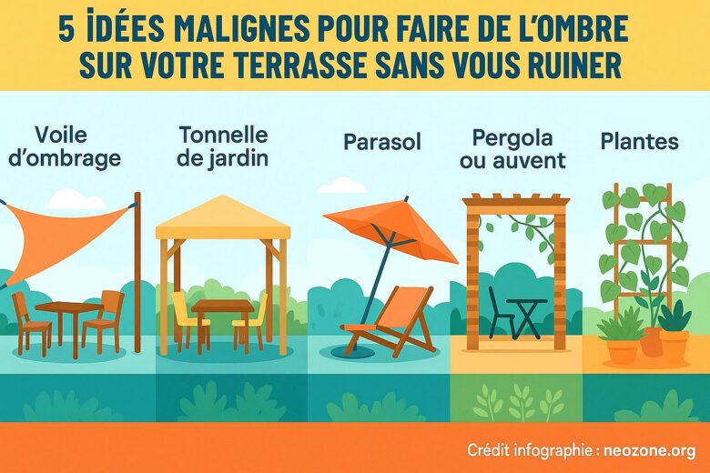 Infographie : 5 idées malignes pour faire de l'ombre sur une terrasse sans se ruiner.