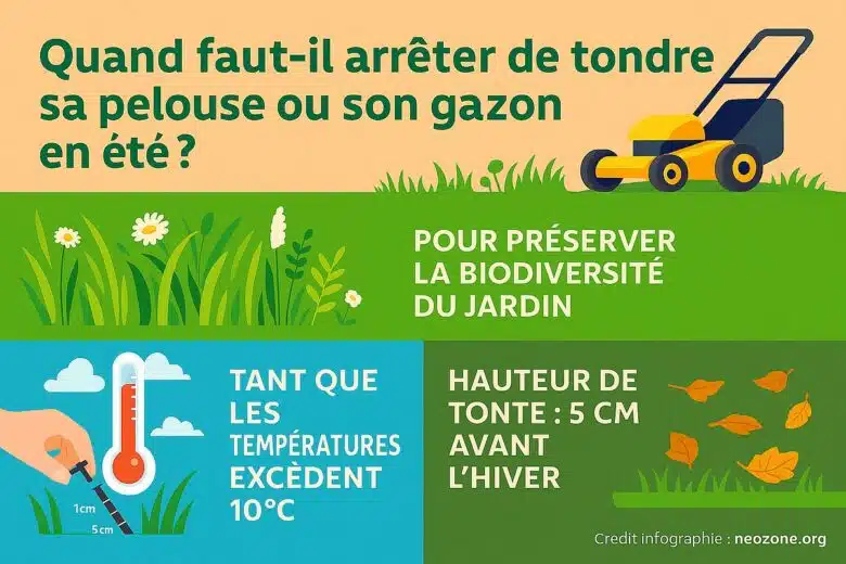 Infographie : quand faut-il arrêter de tondre sa pelouse en été ? 
