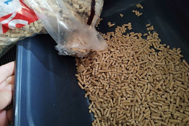 Certaines personnes utilisent des pellets de bois en guise de litière.