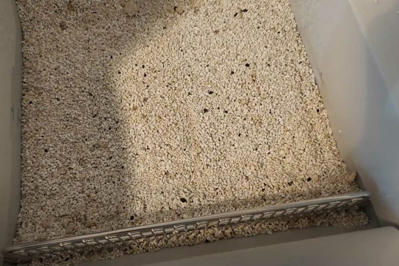 De la litière pour chat.