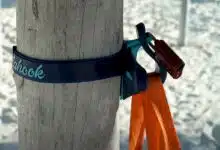 Un crochet de plage sur un poteau.