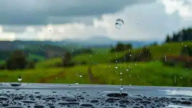 Ils inventent un système pour produire de l'électricité à partir des gouttes de pluie.