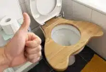 Un WC avec une lunette Mulasana qui permet de faire ses besoins en position accroupie.