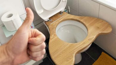 Un WC avec une lunette Mulasana qui permet de faire ses besoins en position accroupie.