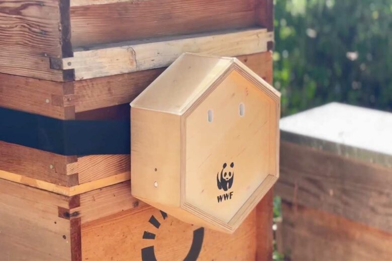 Une invention douce pour protéger les ruches.