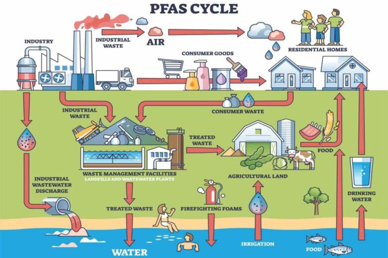 Le cycle des polluants éternels.