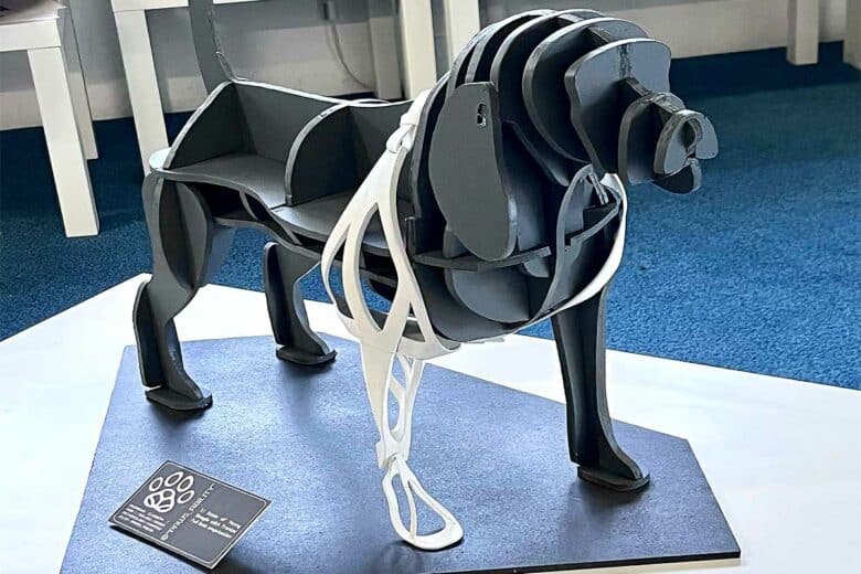 Une prothèse sur un mannequin canin.