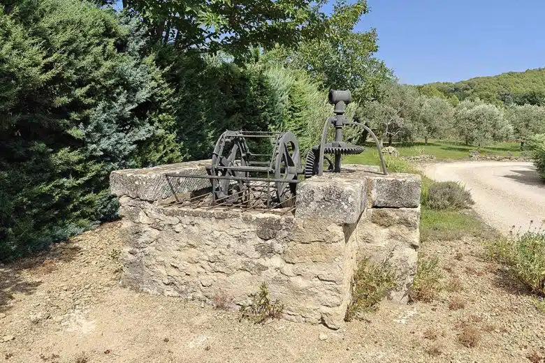 Un ancien puits dans un jardin.
