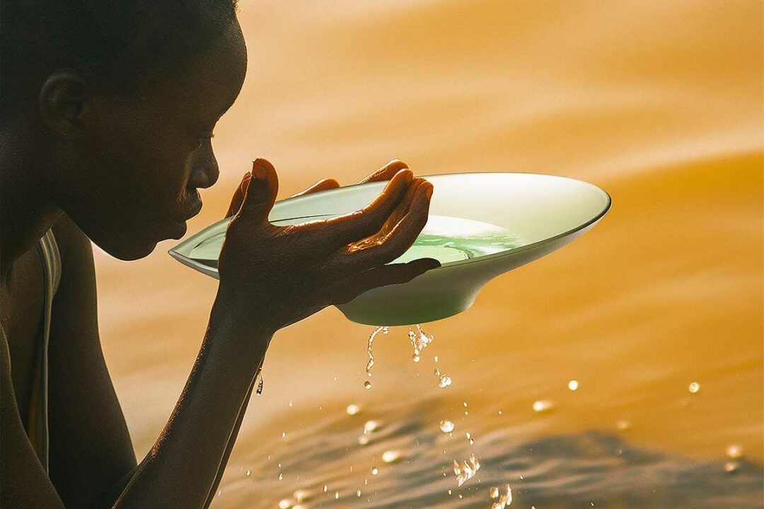 Une personne boit de l'eau dans la coupelle d'un Floatis.