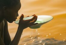 Une personne boit de l'eau dans la coupelle d'un Floatis.