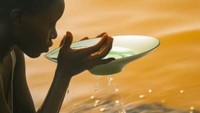 Une personne boit de l'eau dans la coupelle d'un Floatis.
