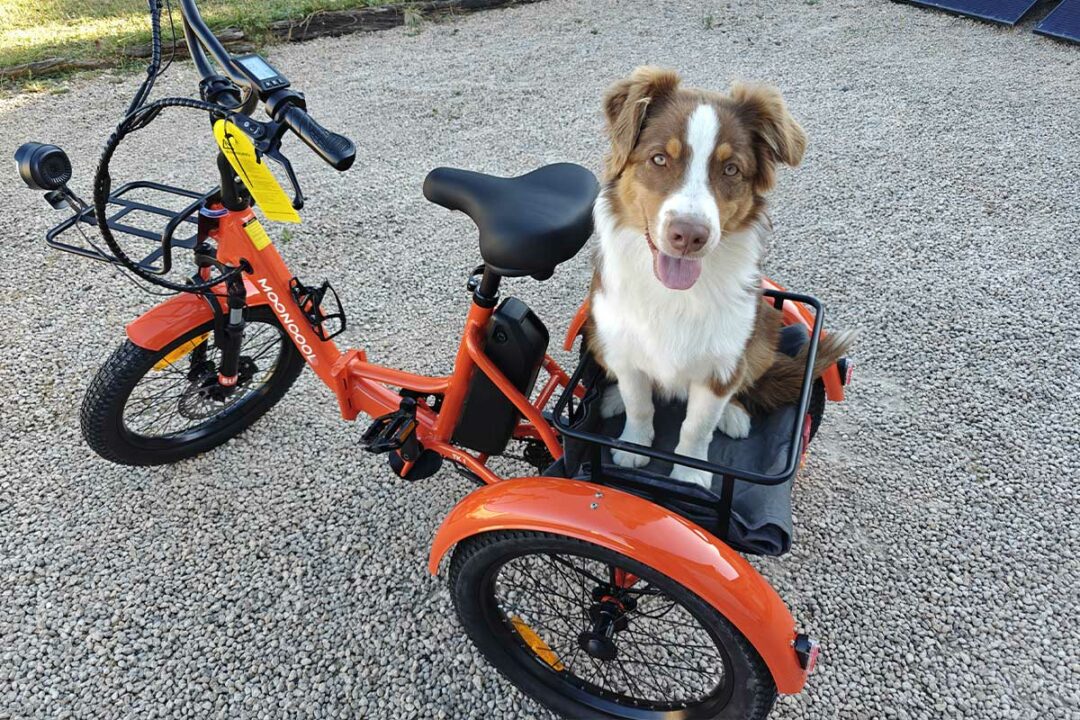 Le Tricycle électrique pliable TK1 de Mooncool.