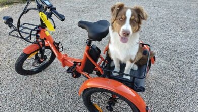 Le Tricycle électrique pliable TK1 de Mooncool.