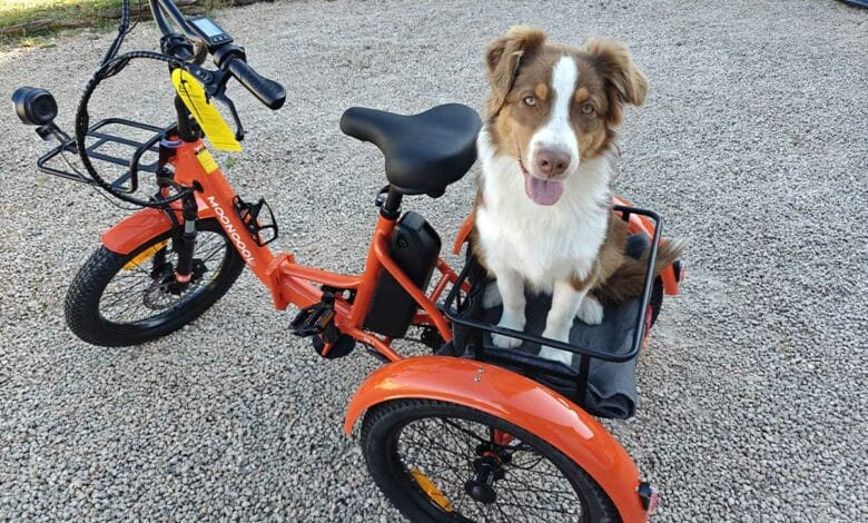 Le Tricycle électrique pliable TK1 de Mooncool.