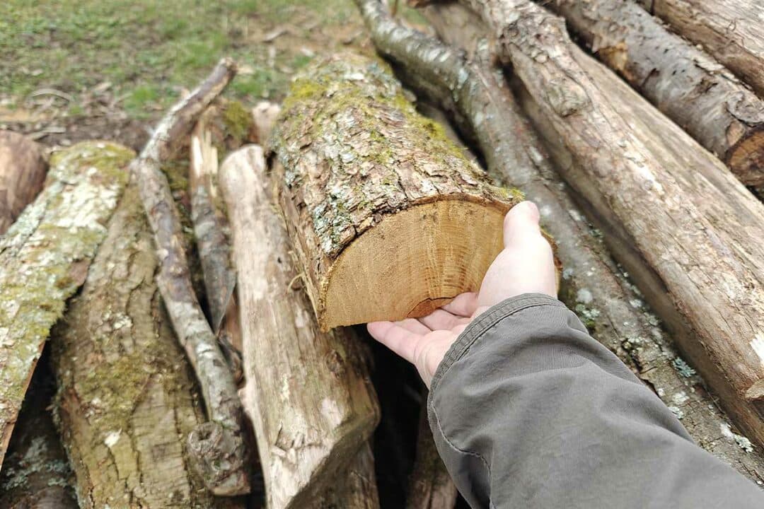 Un homme tient une buche à bout de bras.
