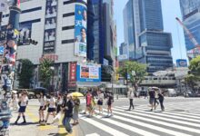 Comment font les japonais pour résister à la canicule ?