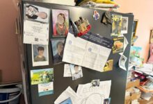 De nombreux magnets sur la porte du frigo.