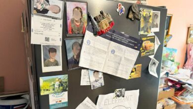 De nombreux magnets sur la porte du frigo.