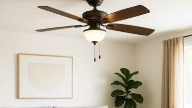Un ventilateur de plafond.