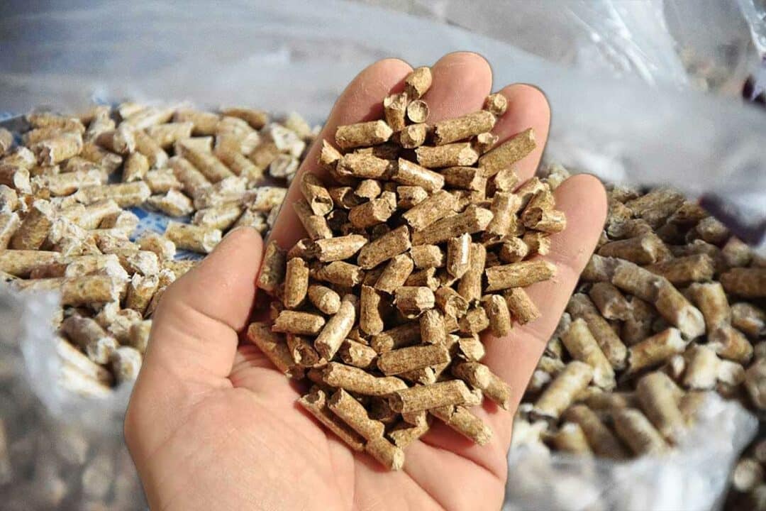Des pellets de bois.