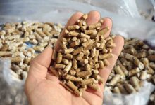 Des pellets de bois.